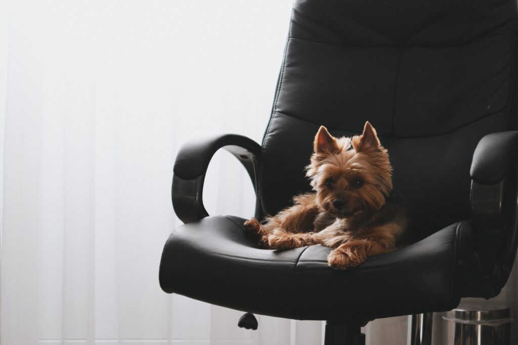 Black high-back leather executive office chair